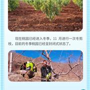 幸福家书|我与幸福家园的约定