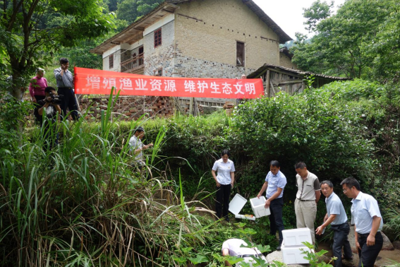 eed90ae6c033dc43c510fe60e9d4de3