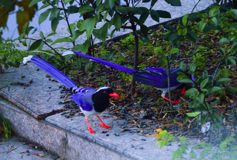 DSC01292aa