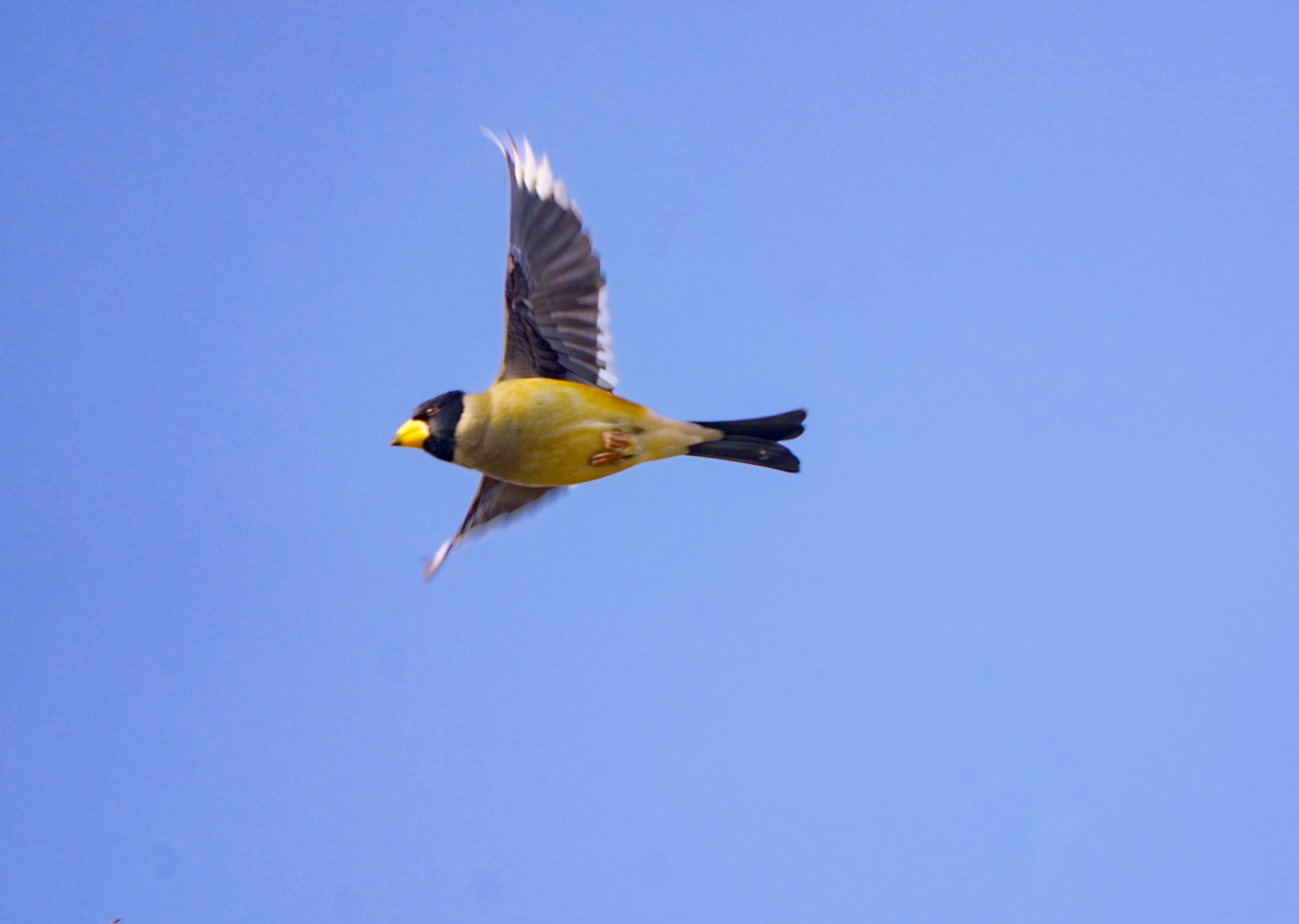 DSC07591AA