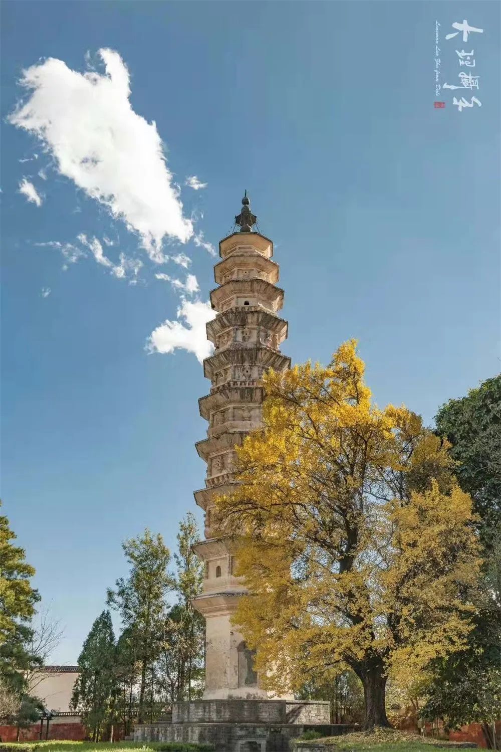 圖片