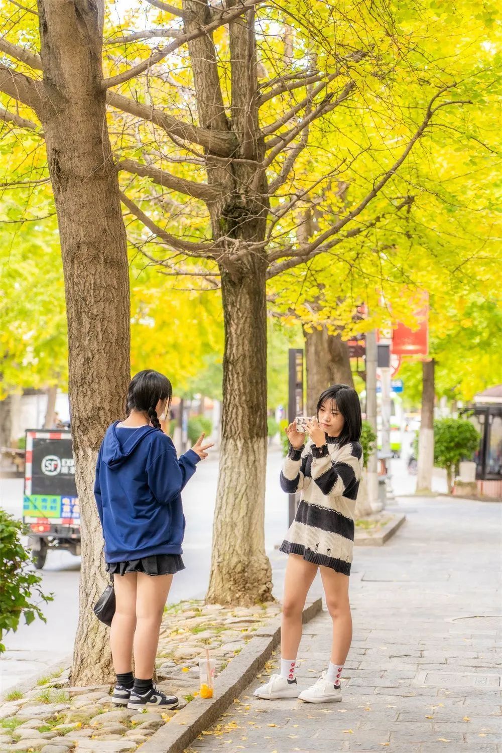 圖片