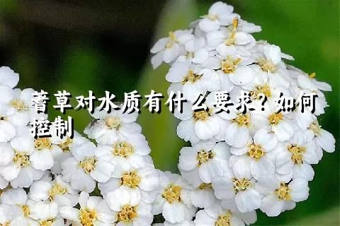 蓍草对水质有什么要求？如何控制