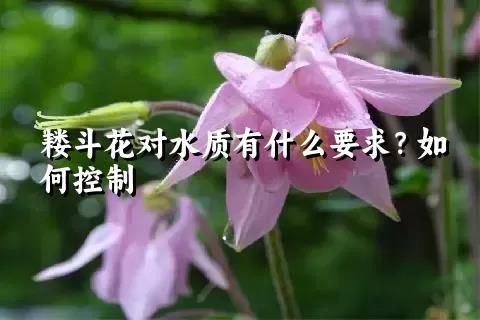 耬斗花對水質有什么要求？如何控制