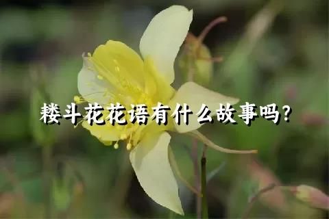 耬斗花花語有什么故事嗎？