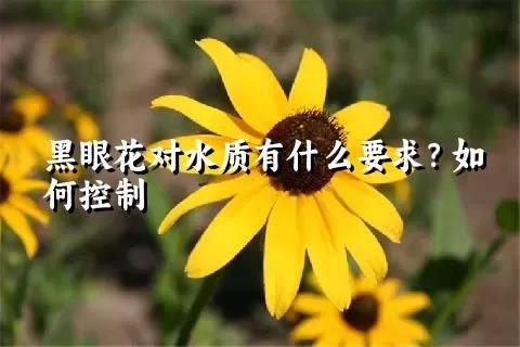 黑眼花對水質有什么要求？如何控制