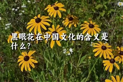 黑眼花在中國文化的含義是什么？