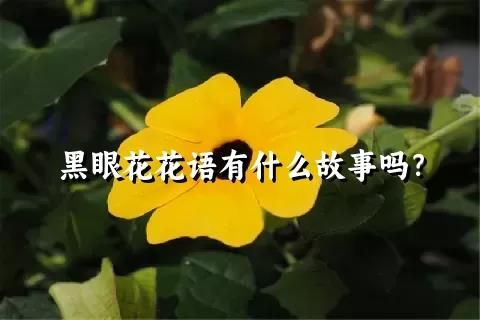 黑眼花花語有什么故事嗎？