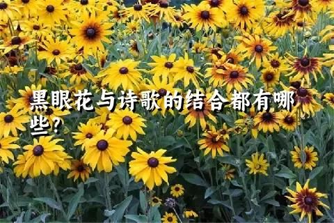 黑眼花與詩歌的結合都有哪些？