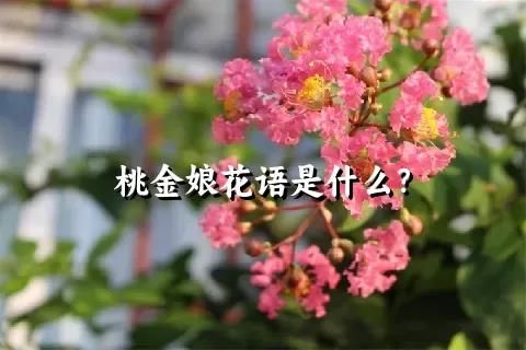 桃金娘花语是什么？