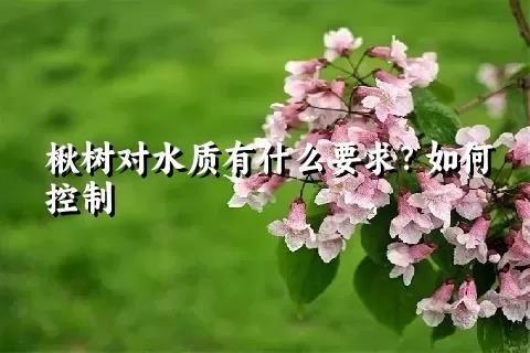 楸树对水质有什么要求？如何控制