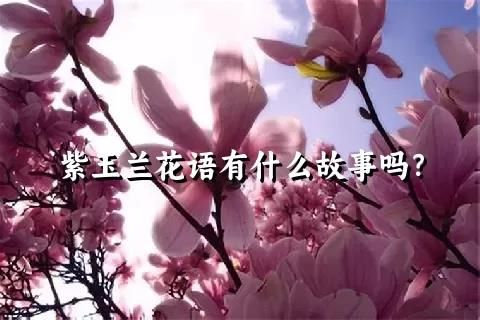 紫玉兰花语有什么故事吗？