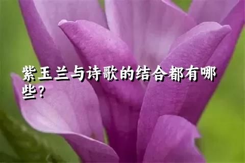 紫玉兰与诗歌的结合都有哪些？