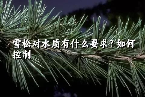 雪松对水质有什么要求？如何控制