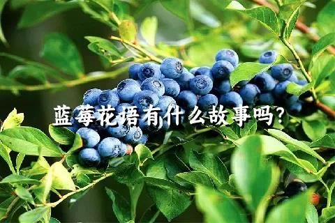 蓝莓花语有什么故事吗？