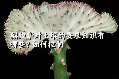 麒麟掌對土壤的要求知識有哪些？如何控制