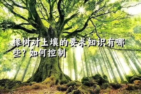 橡树对土壤的要求知识有哪些？如何控制