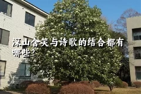 深山含笑與詩(shī)歌的結(jié)合都有哪些？