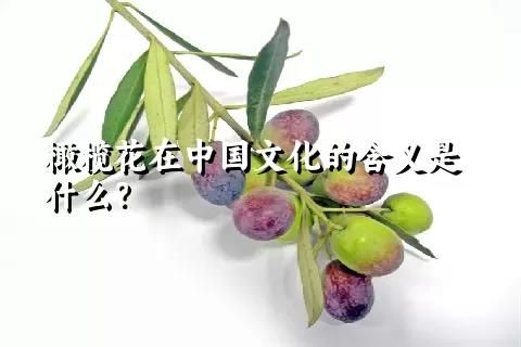 橄欖花在中國文化的含義是什么？