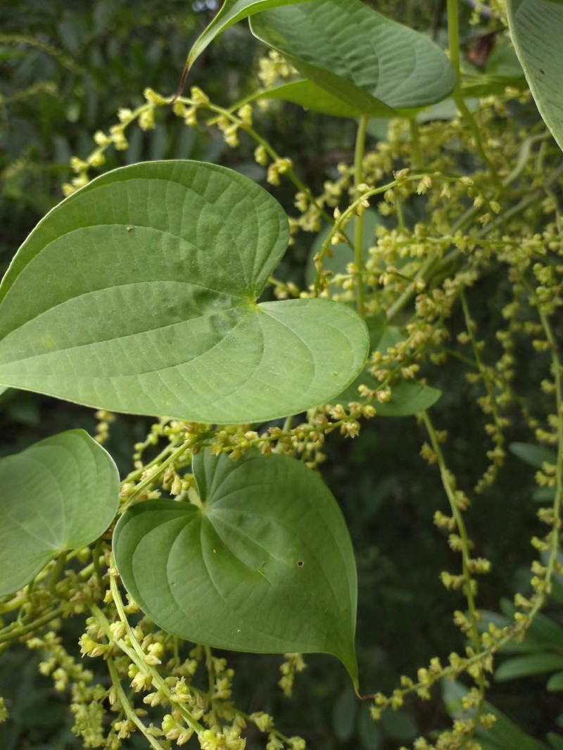 d7ea3e4f33d74a00b7425ecc0c2efba6