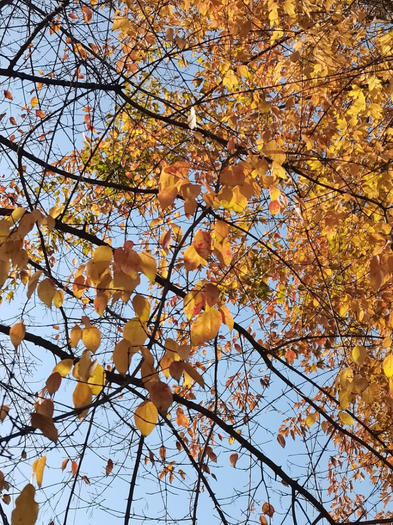 IMG20231216115936