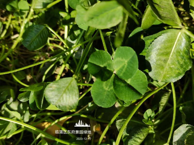 IMG20231218011555