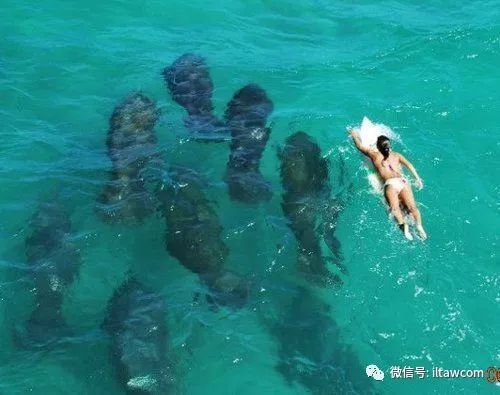 圖片