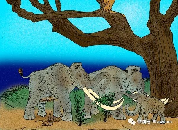 圖片