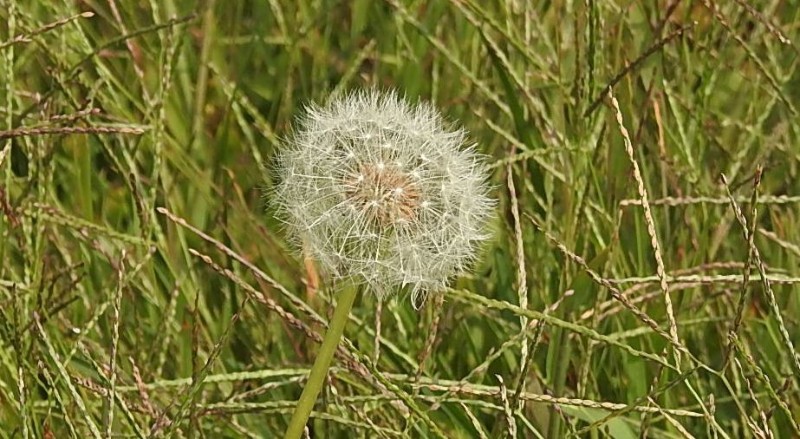 DSCN1032_看圖王_副本