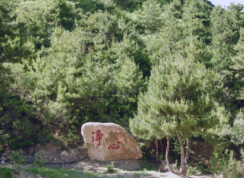 DSCN7322_看圖王
