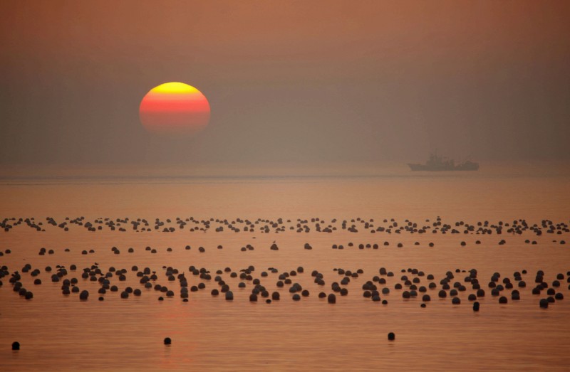 _MG_1027_看图王_看图王_副本