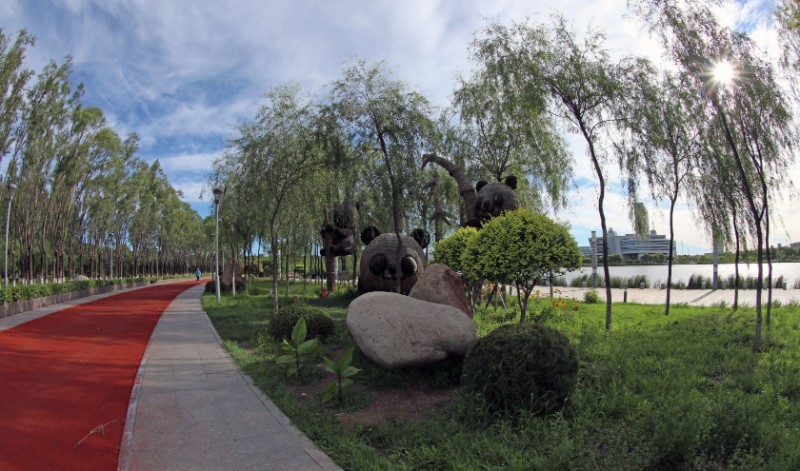 347A2821_看图王_副本