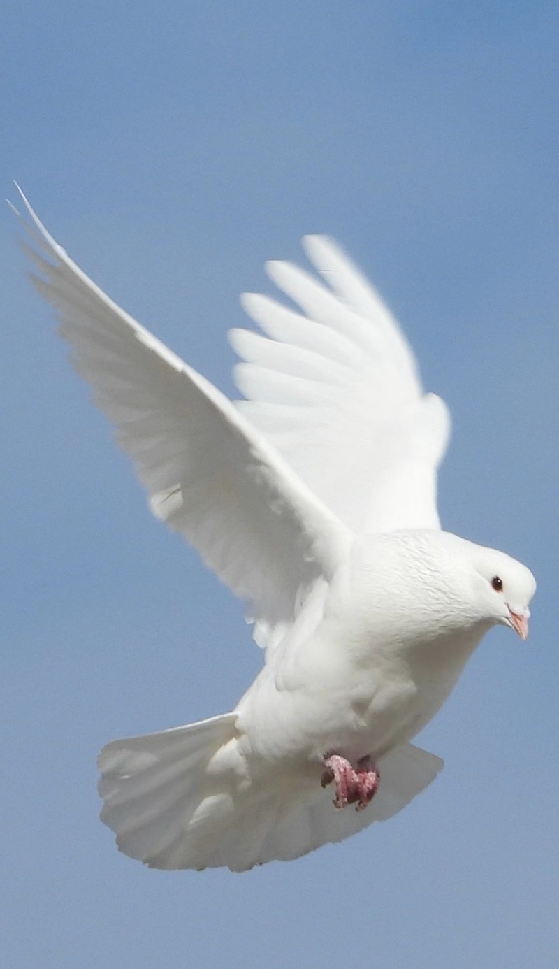 微信图片_20240107221922