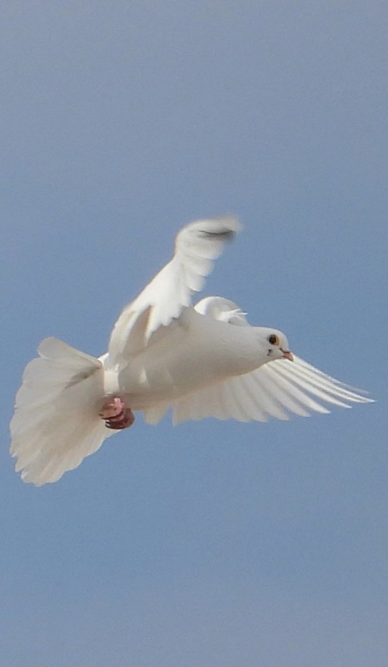 微信图片_20240107221934