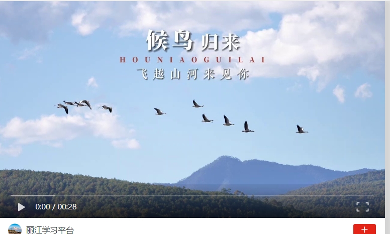 微信截图_20231204203930