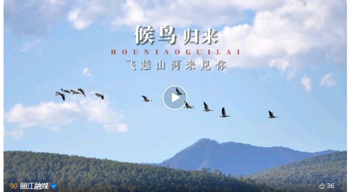微信截图_20231204205715