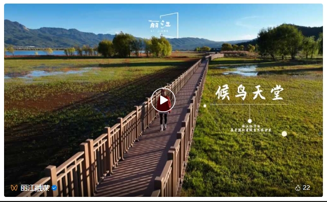 微信截图_20231204211733