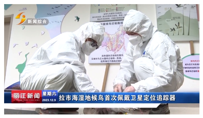 微信截图_20231210110016