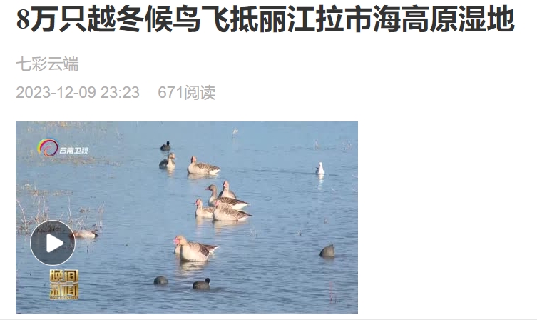 微信截图_20231210111745