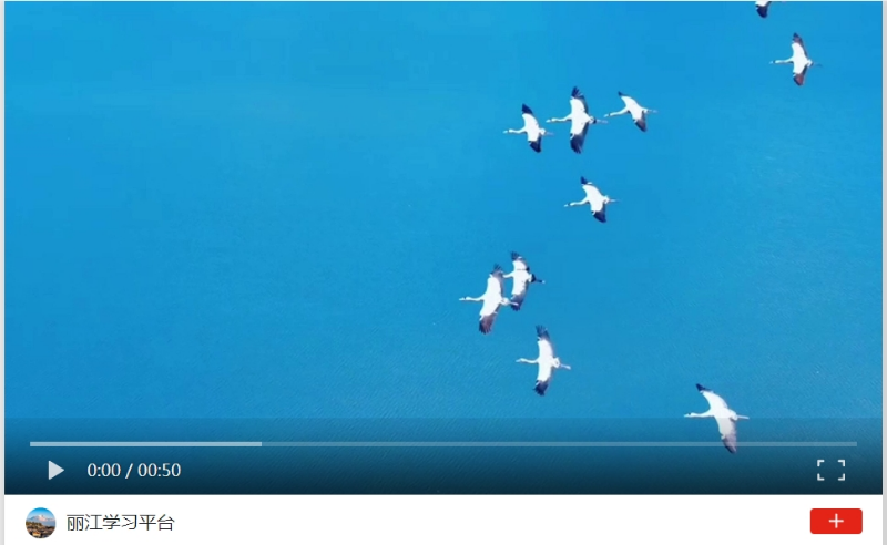 微信截图_20231213162251