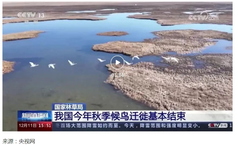 微信截图_20231214102727