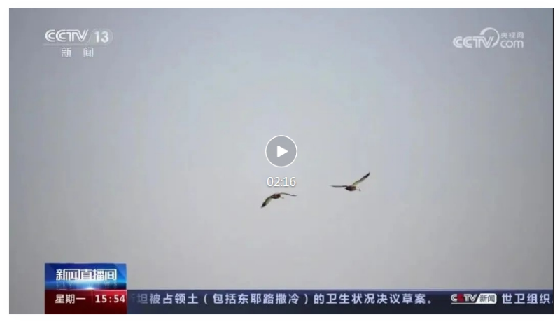 微信截图_20231214103517