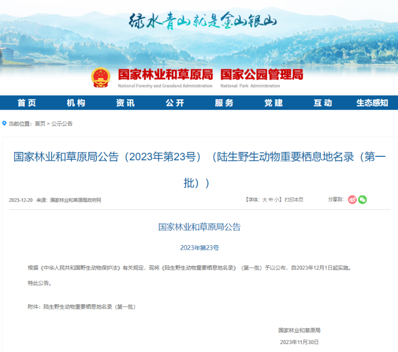 啊啊啊