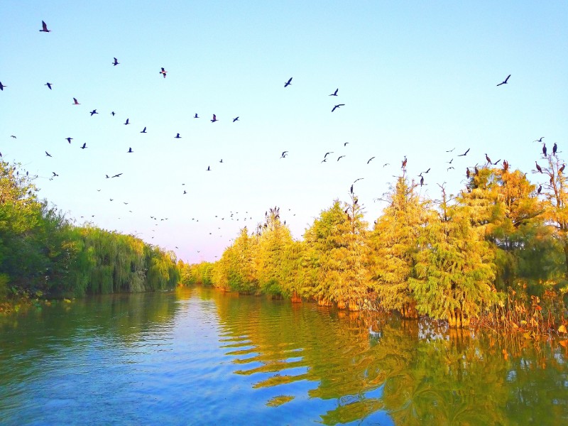 湖北孝感朱湖国家湿地公园生态修复区