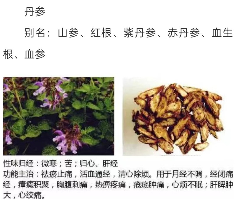 911c1c024c5dd67d15bf51259c9f608