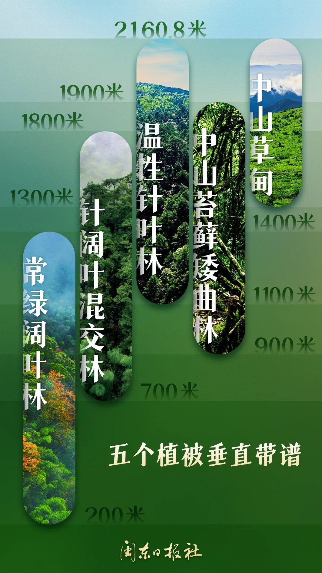 武夷山保存着世界同纬度带最完整、最典型、面积最大的中亚热带原生性森林生态系统。