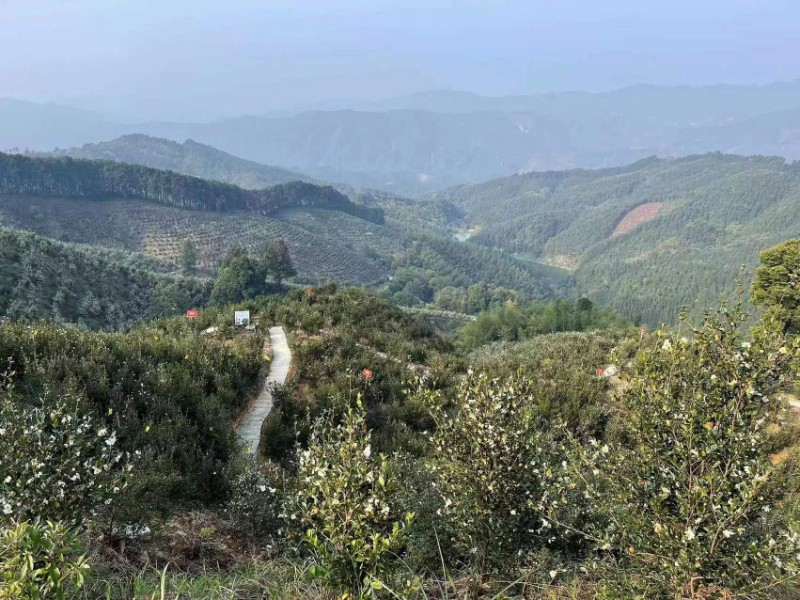 微信圖片_20231124124503