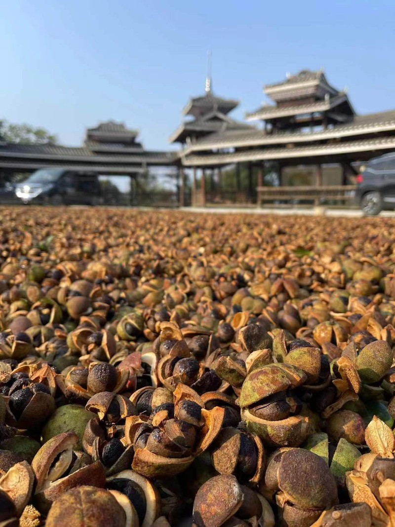 微信圖片_20231124124452