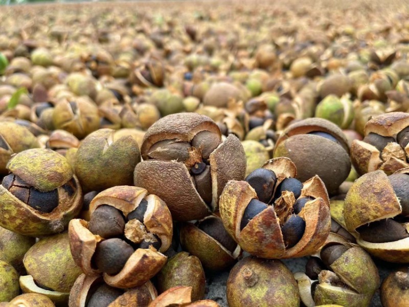 微信圖片_20231124124456