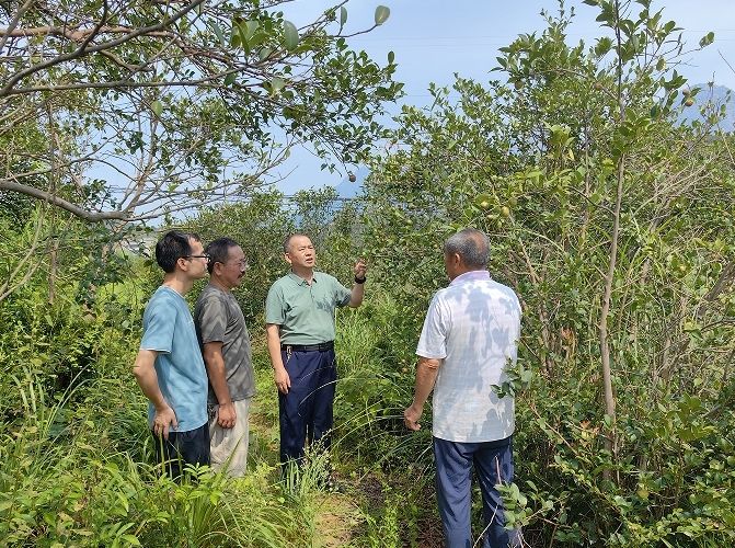 朱恒（右二）現場指導林農油茶病蟲害防治、修剪技術